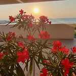 Iulia Hotel 3*