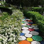 Hotel Iulia 3*