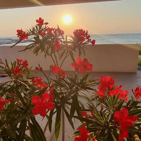 Iulia Otel 3*