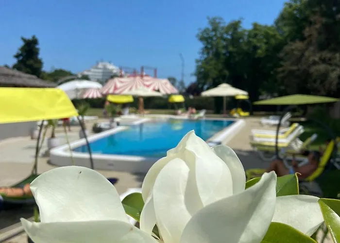 Iulia מלון ונוס